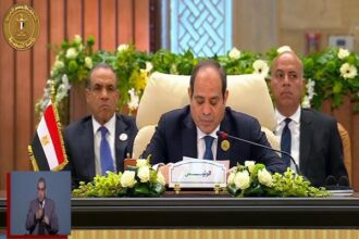 Sisi Arab league speech