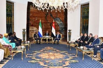 Sisi and President of Sierra Leone
