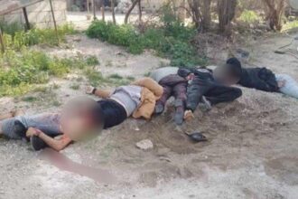 Syrian army terrorism