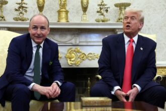 Trump Schumer is Palestinian
