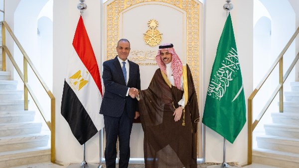 Egyptian and Saudi FMs