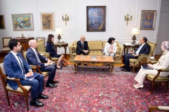 Japan and Egypt FMs