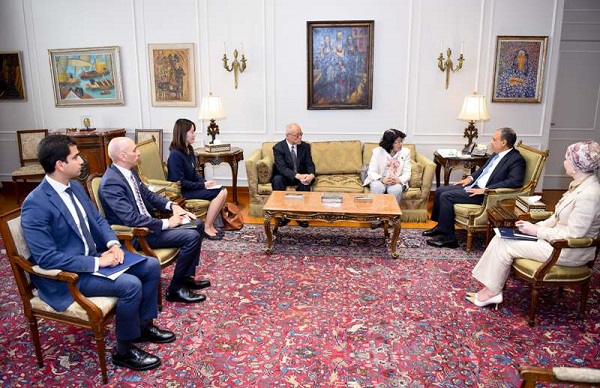 Japan and Egypt FMs