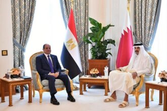 President Sisi and Emir of Qatar