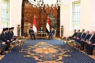 Sisi with Indonesian President