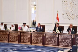 Sisi calls for Qatari investment