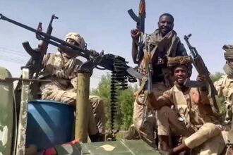 Sudan Rapid