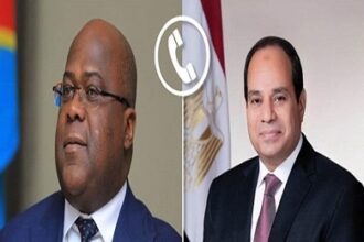 President Sisi and President of Congo