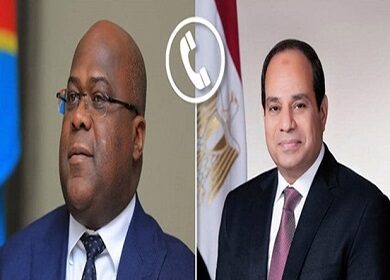 President Sisi and President of Congo