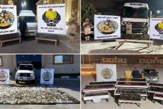 Border guards arrest