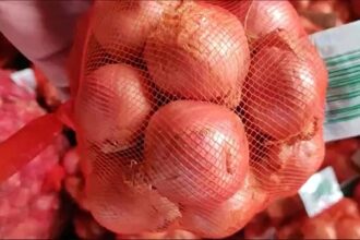 Onions export