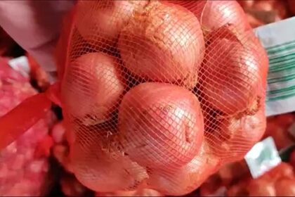 Onions export