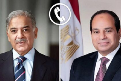 Sisi and Pakistan PM