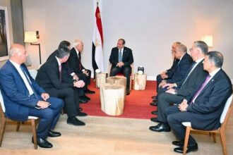 Sisi with Chairman Greek electric