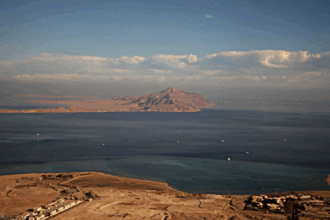 Tiran