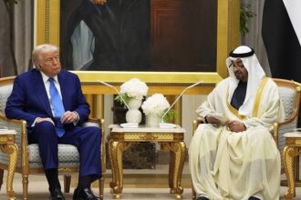 Trump and MBZ