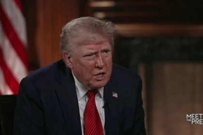 Trump constitution