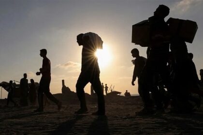 44 Palestinians killed