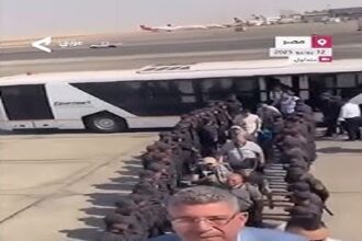 Deportation Cairo Airport
