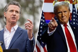 Gavin and Trump