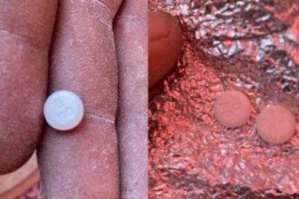 Narcotics in Gaza Flour Aid