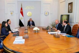President El-Sisi on investment