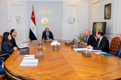 President El-Sisi on investment