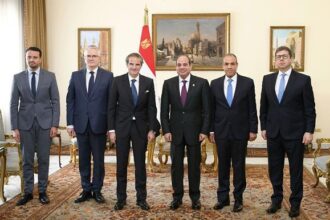 Sisi Meets IAEA Director General