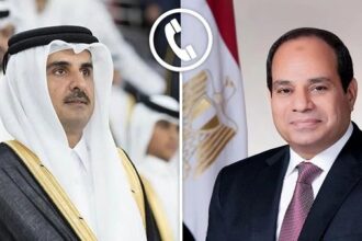 Sisi and Tamim