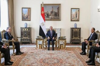 Sisi receives Iranian FM