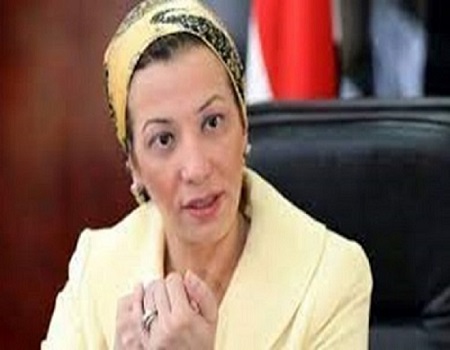Environmental Minister