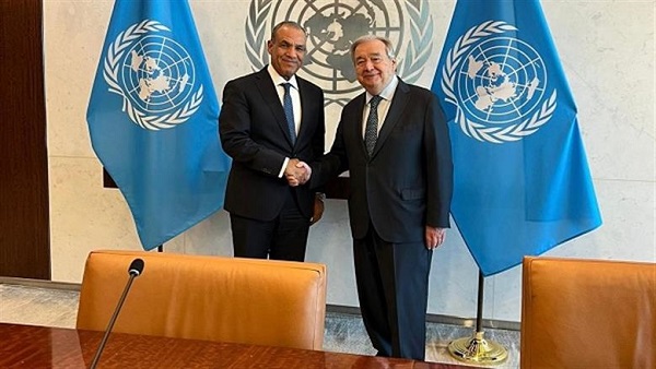 Egypt FM WIth UN Chief