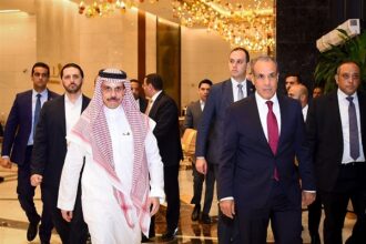 Egypt and Saudi FMs