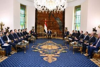 Sisi and Chinese delegation