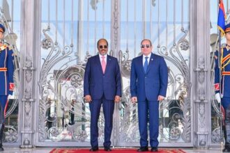 Sisi and Somali President