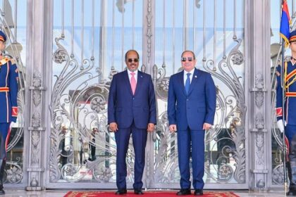 Sisi and Somali President