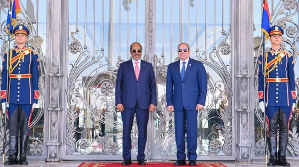 Sisi and Somali President