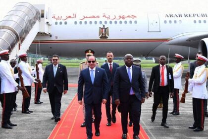Sisi in Africa