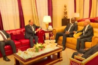 Sisi in Africa summit