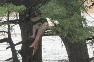 Texas floods girl