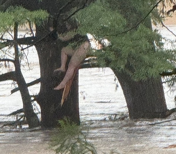 Texas floods girl