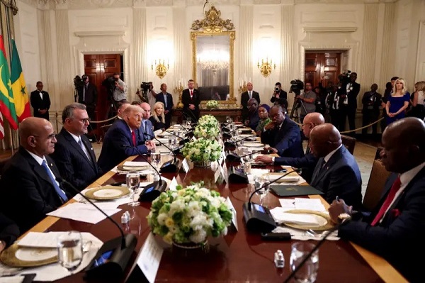 Trump and African Presidents