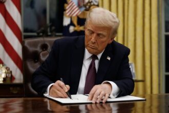 Trump immigration bill