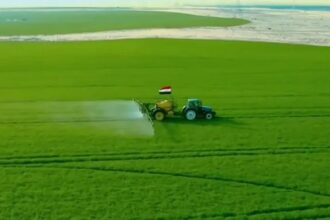 Egypt agriculture