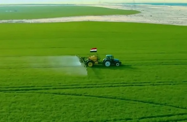 Egypt agriculture