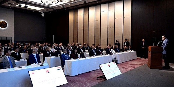 PM Madbouly in Japan
