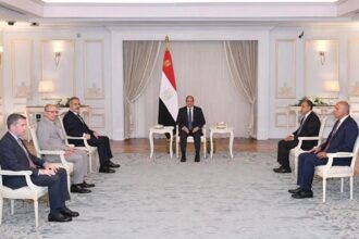 President Sisi and Turkish FM