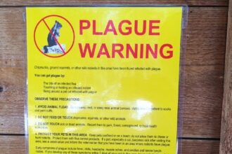 plague warning