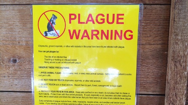 plague warning