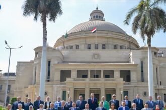 Cairo University Faculty